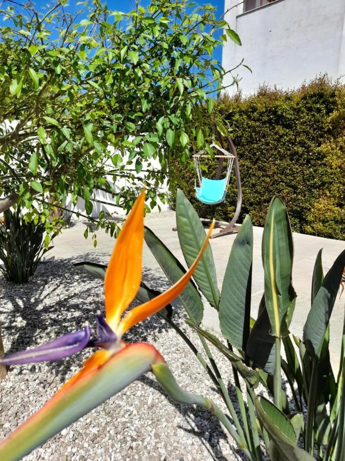 Il Giardino Di Flora - Piscina & Jacuzzi Hotel Lecce Bagian luar foto